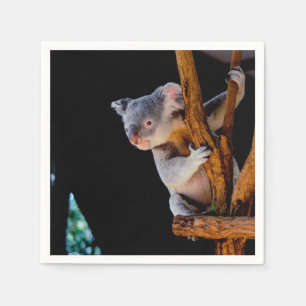 Koala Cute in Tree Grey Napkin