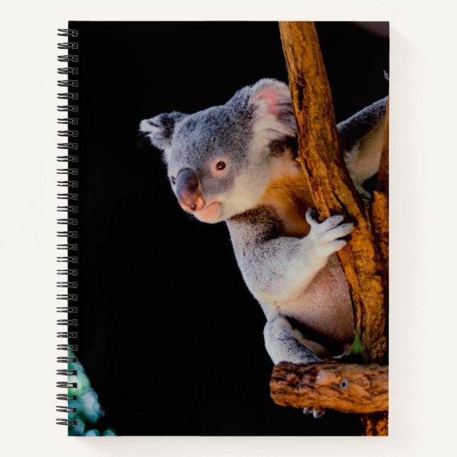 Koala Cute in Tree Grey Notebook (Front)