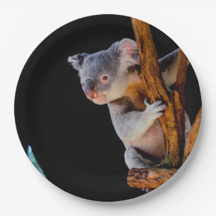 Koala Cute in Tree Grey Paper Plate