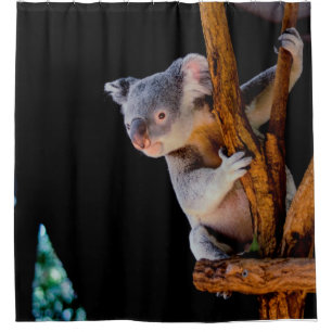 Koala Cute in Tree Grey Shower Curtain