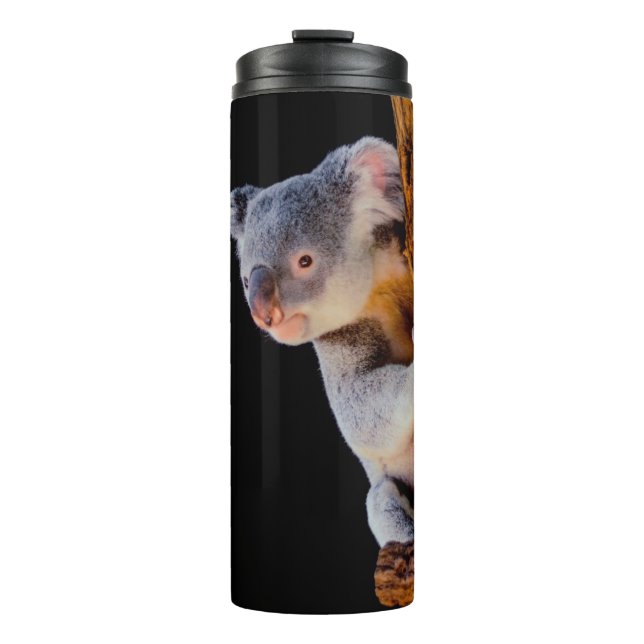 Koala Cute in Tree Grey Thermal Tumbler (Front)