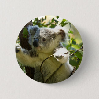 Koala cutie 6 cm round badge
