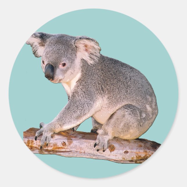 Koala Drawing Classic Round Sticker (Front)