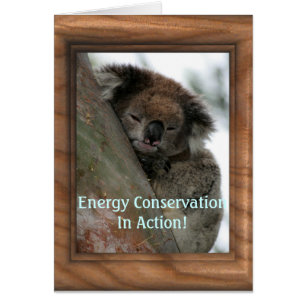 Koala - Energy Conservationist Extraordinaire!
