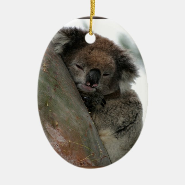 Koala - Energy Conservationist Extraordinaire! Ceramic Tree Decoration (Front)