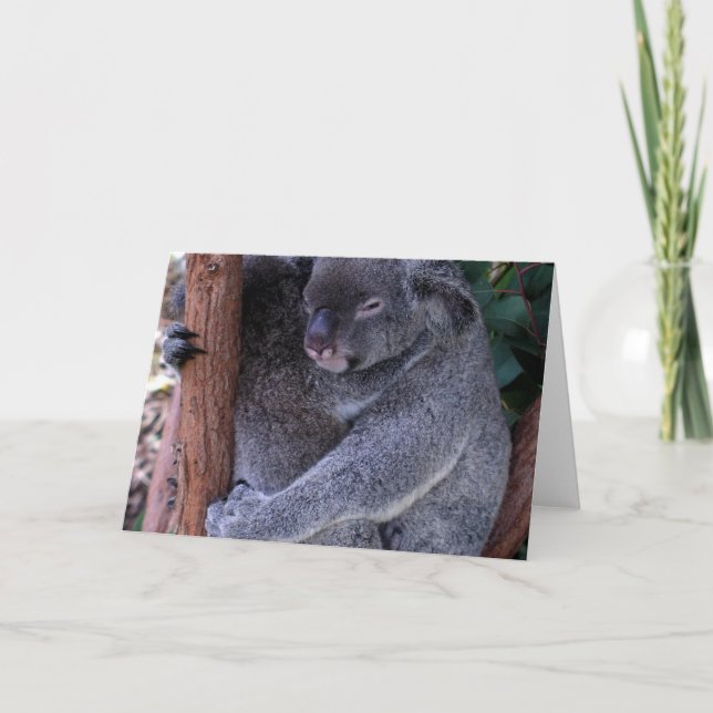 Koala Family Greeting Card (Front)