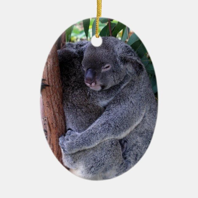 Koala Family Ornament (Front)