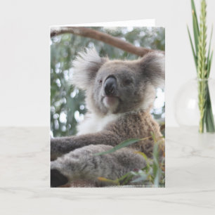Koala Greeting Card