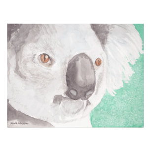 Koala I Photo Print