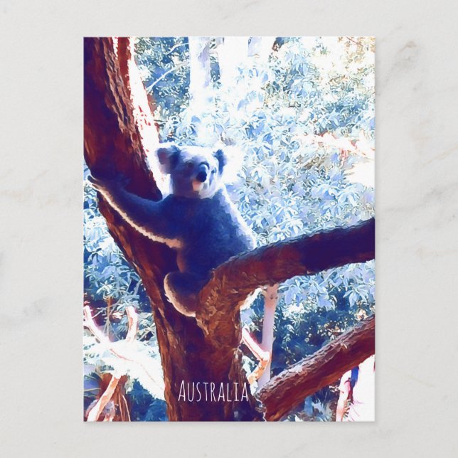 Koala in tree animal Australia Postcard (Front)