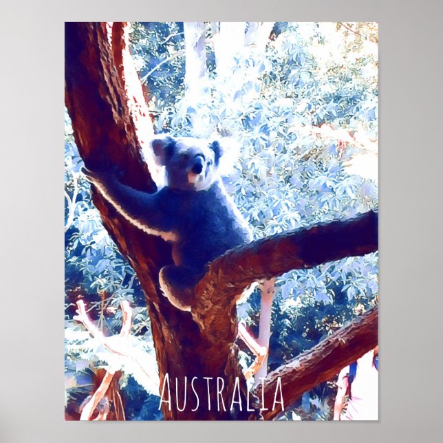 Koala in tree animal Australia Poster (Front)