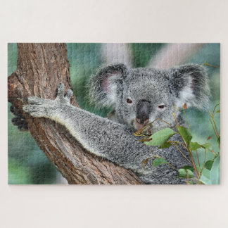 Koala in Tree Jigsaw Puzzle