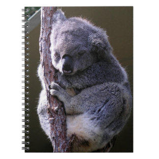 Koala in Tree Notebook