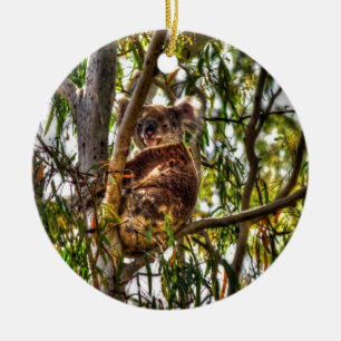 KOALA IN TREE QUEENSLAND AUSTRALIA ART EFFECTS CERAMIC TREE DECORATION
