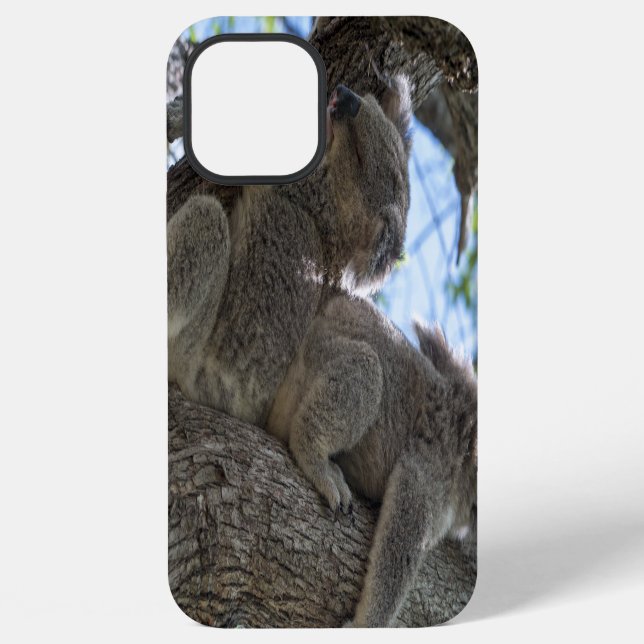Koala iPhone Case (Back)