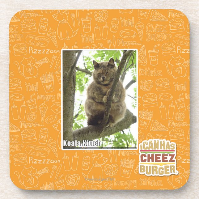 Koala Kitteh Coaster (Front)