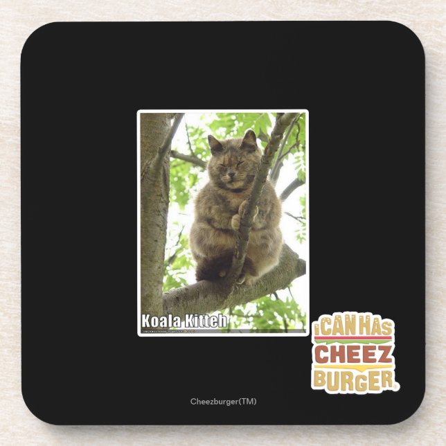 Koala Kitteh Coaster (Front)