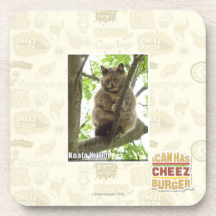 Koala Kitteh Coaster