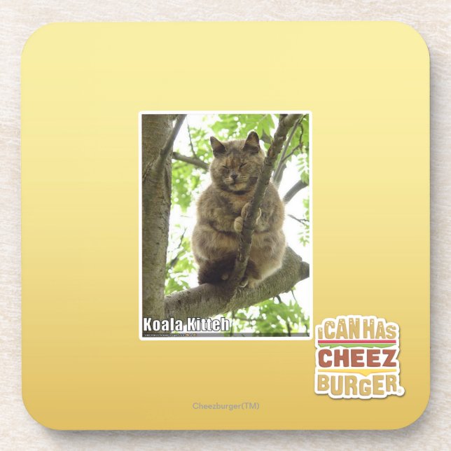 Koala Kitteh Coaster (Front)