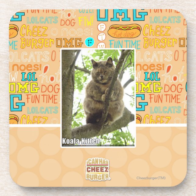 Koala Kitteh Coaster (Front)
