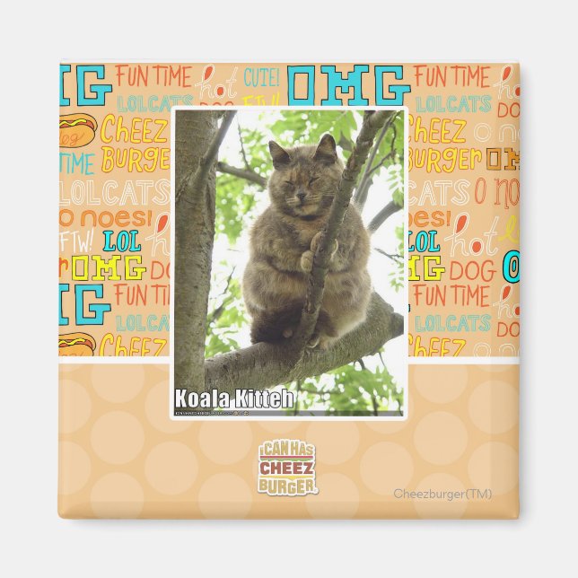 Koala Kitteh Magnet (Front)