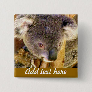 Koala Love_ 15 Cm Square Badge