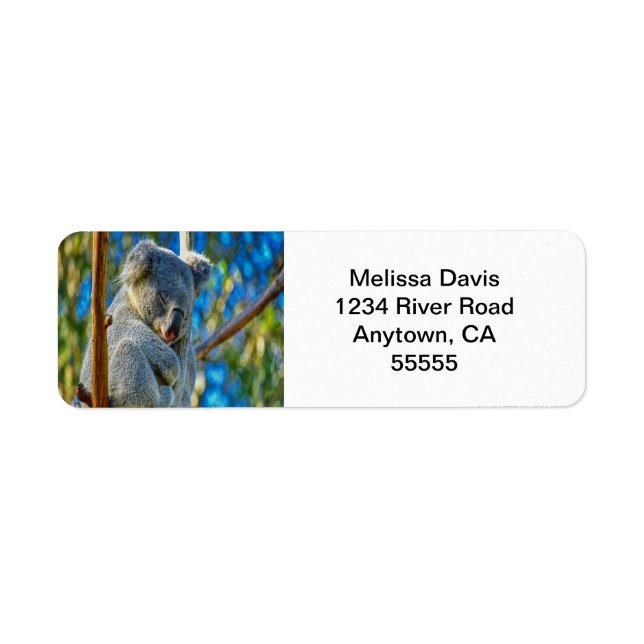 Koala Love Address Labels (Front)