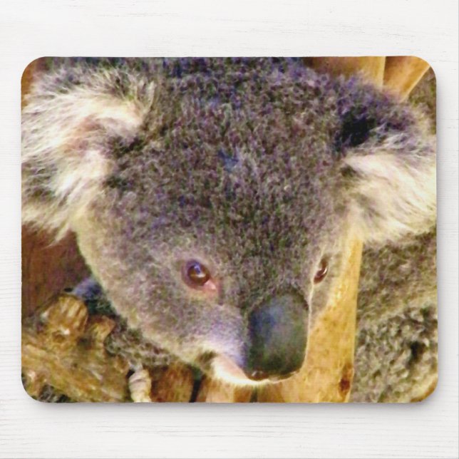 Koala Love_ Mouse Pad (Front)