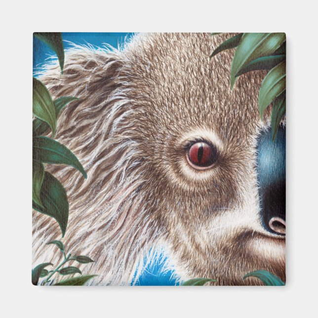 Koala Magnet (Front)