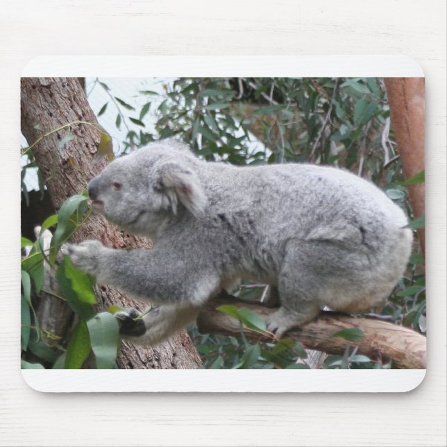 KOALA MOUSE PAD (Front)