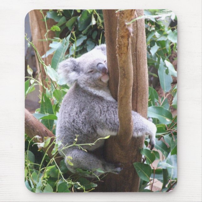 Koala Mousepad (Front)