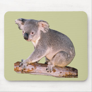 Koala Mousepadd Mouse Pad
