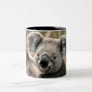 Koala Mug