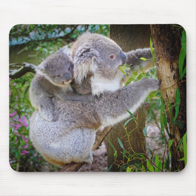 Koala mum son mouse pad (Front)