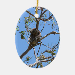 Koala Nap Ceramic Tree Decoration