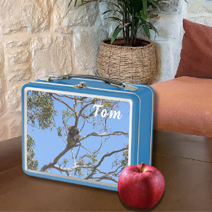 Koala Nap Metal Lunch Box