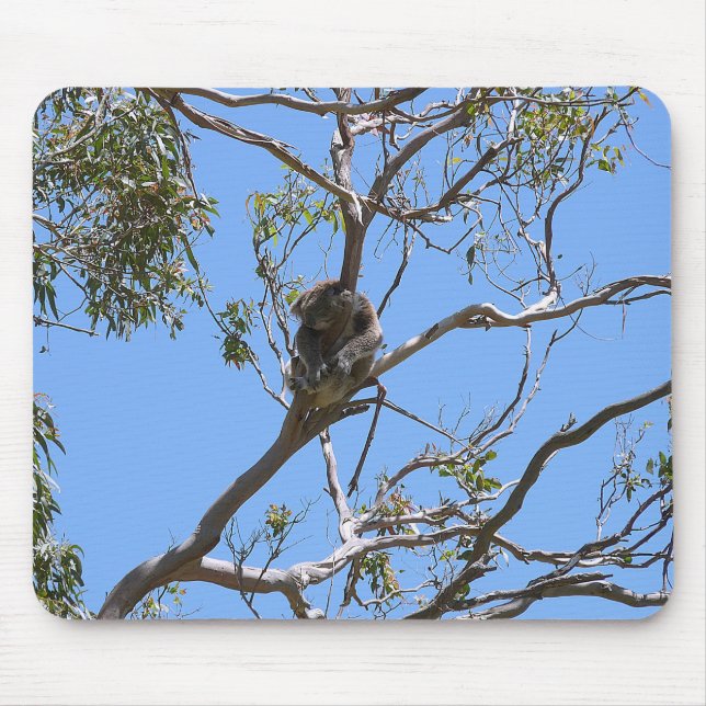 Koala Nap Mouse Pad (Front)