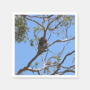 Koala Nap Napkin