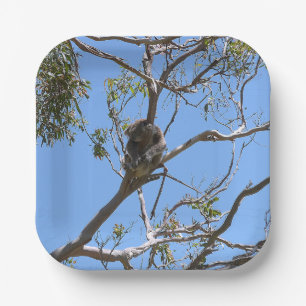 Koala Nap Paper Plate