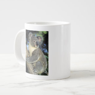 Koala, Phascolarctos cinereus), Australia, Large Coffee Mug