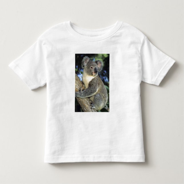 Koala, Phascolarctos cinereus), Australia, Toddler T-Shirt (Front)