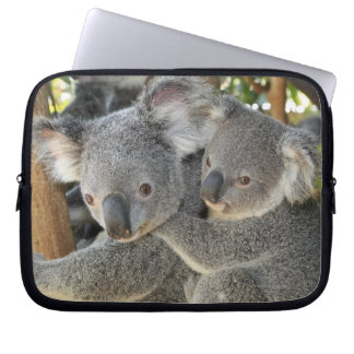 Koala Phascolarctos cinereus Queensland . Laptop Sleeve