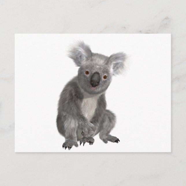 Koala Postcard (Front)