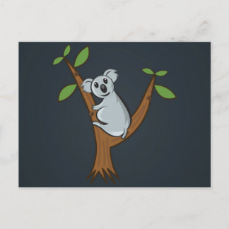Koala Postcard