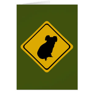 koala road sign