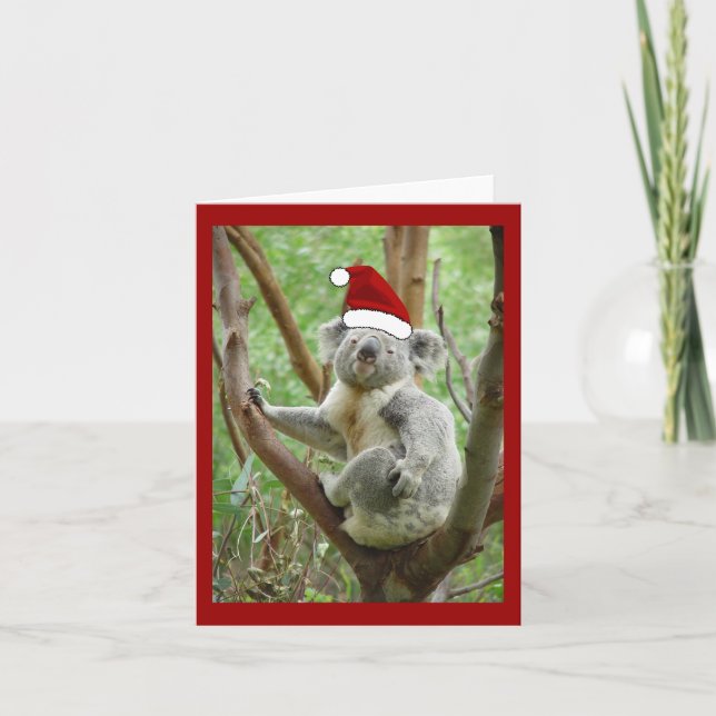 Koala Santa Christmas Card (Front)