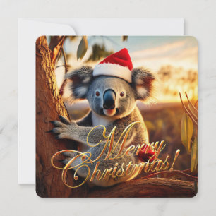 Koala sitting in Gumtree Merry Christmas Holiday Card