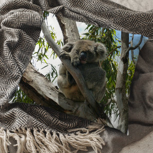 Koala - Sleeping  Cushion
