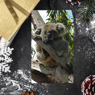 Koala - Sleeping Gift Tags