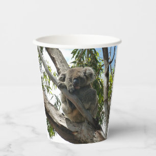 Koala - Sleeping Gift Tags Paper Cups